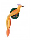 χαρτοκατασκευή paradise bird | orlango