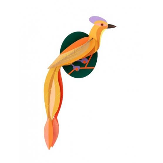χαρτοκατασκευή paradise bird | orlango